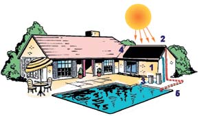Inground-PoolIllustration